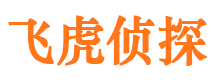 肥东婚外情调查取证